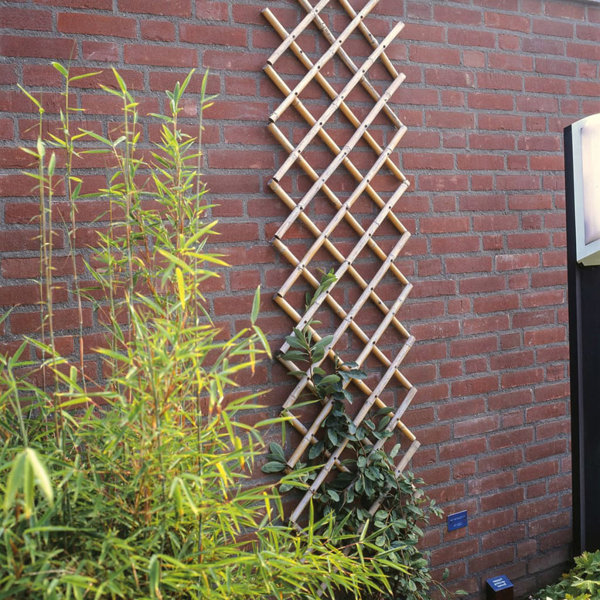 Garten Living GartenRankgitter Rankhilfe Spalier Scherenspalier Bambus